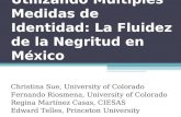 Utilizando Múltiples Medidas de Identidad: La Fluidez de la Negritud en México Christina Sue, University of Colorado Fernando Riosmena, University of Colorado.