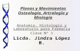 Planos y Movimientos Osteología, Artrología y Miología Anatomía, Histología y Laboratorio para Farmacia Clase Nº 1 Licda. Jindra López B.