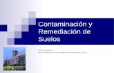 Contaminación y Remediación de Suelos Henrik Hansen Universidad Técnica Federico Santa María, Chile.