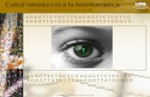 © 2006 Plataforma Bioinformàtica de la UAB SNPs y QTLs: descubriendo la base genética de las enfermedades A G A G T T C T G C T C G A G G G T T A T G C.