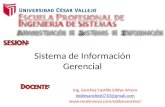 Sistema de Información Gerencial Ing. Sanchez Castillo Eddye Arturo eddiesanchez0710@gmail.com