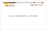 Los vegetales y frutas. Los Vegetales Clasificación de las Verduras.