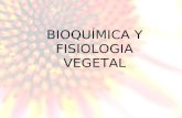 BIOQUÍMICA Y FISIOLOGIA VEGETAL. FISIOLOGÍA VEGETAL Ciencia que estudia el funcionamiento de las plantas, cómo se integran los diversos procesos físicos.