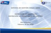 SISTEMA DE GESTIÓN OHSAS 18001 DEFINICIÓN DE OBJETIVOS DEFINICIÓN DE PROGRAMAS DE GESTIÓN Barranquilla Febrero 24 de 2010 CONSULTORES.