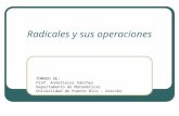 Radicales y sus operaciones TOMADO DE: Prof. Anneliesse Sánchez Departamento de Matemáticas Universidad de Puerto Rico - Arecibo.