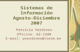 Sistemas de Información Agosto-Diciembre 2007 Patricia Verdines Oficina: A2-134B E-mail: pverdines@itesm.mx.