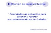 III Reunión de Salud Ambiental. “ Prioridades de actuación para detener y revertir la contaminación en la ciudades” Guadalajara Jalisco Julio 2006.