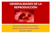 GENERALIDADES DE LA REPRODUCCIÓN Demetrio Ricardo Roa Gómez Médico Veterinario Especialista Docente UDCA.