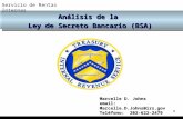 Servicio de Rentas Internas 1 Análisis de la Ley de Secreto Bancario (BSA) Marcelle D. Johns email: Marcelle.D.Johns@irs.gov Teléfono: 202-622-2479.