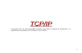TCP/IP El presente PPT ha sido desarrollado tomando como base el material de Introducción a la ingeniería de Networking CISCO (Extractos Curso CNNA1).