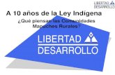 A 10 años de la Ley Indígena ¿Qué piensan las Comunidades Mapuches Rurales?