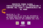 PROYECTO FONDO GLOBAL : FORTALECIMIENTO DE LA PREVENCIÓN Y CONTROL DEL SIDA Y TUBERCULOSIS EN EL PERÚ OBJETIVO 2 – TB: “DISMINUCION DE LA TASA DE INCIDENCIA.