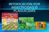 INTOXICACIÓN POR INSECTICIDAS O PLAGUICIDAS. Clases de insecticidasClases de insecticidas Origen mineral Origen vegetal Derivados Orgánicos de Síntesis.