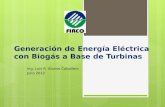 Generación de Energía Eléctrica con Biogás a Base de Turbinas Ing. Luis R. Alonso Caballero Julio 2012.