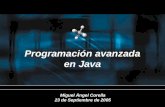Programación avanzada en Java Miguel Ángel Corella 23 de Septiembre de 2005.