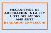 1 MECANISMOS DE ADECUACION A LA LEY 1.333 DEL MEDIO AMBIENTE BERNARDO ZAMBECCHI.