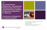 + Las Enfermeras Obstetras y las Parteras Profesionales Técnicas: ¿Opciones para mejorar la atención obstétrica en Mexico? ¿Tiempo para la integración.