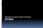 Elaboración de páginas WEB con WordPress. Objetos necesarios  1 Plataforma de alojamiento, un sitio  Servidor – Ordenador deposito de archivos- dispuesto.