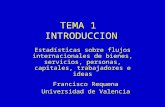 TEMA 1 INTRODUCCION Estadísticas sobre flujos internacionales de bienes, servicios, personas, capitales, trabajadores e ideas Francisco Requena Universidad.
