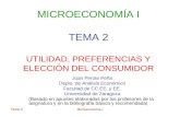 Tema 2Microeconomía I MICROECONOMÍA I TEMA 2 UTILIDAD, PREFERENCIAS Y ELECCIÓN DEL CONSUMIDOR Juan Perote Peña Depto. de Análisis Económico Facultad de.