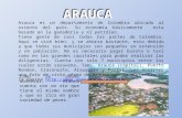 Arauca es un departamento de Colombia ubicado al oriente del país. Su economía básicamente esta basado en la ganadería y el petróleo. Tiene gente de casi.