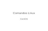 Comandos Linux CentOS. Comandos Linux ls : podrá ver un listado resumido con el contenido del directorio en el que se encuentre en ese momento Parámetros.