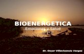 BIOENERGETICA Emociones y Salud Dr. Oscar Villavicencio Vargas.