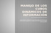 Ing. Evangelina Morales Carmona Capacitación y Asistencia en el Desarrollo de Sistemas de Información Geográfica y Análisis de Información en Salud y Demográfica.