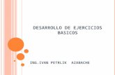 DESARROLLO DE EJERCICIOS BASICOS ING.IVAN PETRLIK AZABACHE