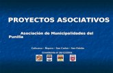 PROYECTOS ASOCIATIVOS Asociación de Municipalidades del Punilla Asociación de Municipalidades del Punilla Coihueco – Ñiquen – San Carlos – San Fabián Constituida.