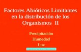 Factores Abióticos Limitantes en la distribución de los Organismos II Precipitación Humedad Luz Preparado por Ing. Mario O’Hara Gaberscik.