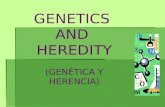 GENETICS AND HEREDITY (GENÉTICA Y HERENCIA) GENÉTICA Y HERENCIA   genes que se encuentran en los cromosomas en el núcleo de una célula, el código para.