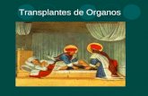 Transplantes de Organos. Organos para donación Determinación del momento de la muerte 1. El sistema nervioso 2. Los grados de conciencia 3. El estado.
