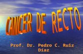 Prof. Dr. Pedro C. Ruiz Díaz. CANCER DE RECTO DIAGNÓSTICO Endoscopia rígida ofrece información sobre las características primarias del tumor:  Distancia.
