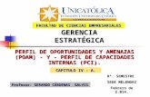 PERFIL DE OPORTUNIDADES Y AMENAZAS (POAM) - Y - PERFIL DE CAPACIDADES INTERNAS (PCI). CAPITULO IV - A. Profesor: GERARDO CÁRDENAS GALVIS FACULTAD DE CIENCIAS.