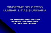 SINDROME DOLOROSO LUMBAR. LITIASIS URINARIA DR. ARMANDO ITURRALDE CODINA PROFESOR TITULAR UROLOGIA. FAC. MED. 10 DE OCTUBRE.