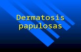 Dermatosis papulosas. Pápula Lesión sobreelevada (aumento de celulas o edema, depósito de sustancias), circunscripta, no mayor a 5mm, consistencia sólida,