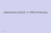 28/04/20151 AMINOACIDOS Y PROTEINAS. 28/04/20152 Las proteínas están formadas por unidades básicas que corresponden a los aminoácidos, los cuales se unen.