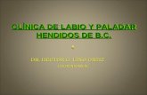 CLÍNICA DE LABIO Y PALADAR HENDIDOS DE B.C. DR. HECTOR G. LINO ORTIZ COORDINADOR DR. HECTOR G. LINO ORTIZ COORDINADOR.