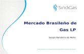 Mercado Brasileño de Sindicato Nacional das Empresas Distribuidoras de Gás Liquefeito de Petróleo Gas LP Sergio Bandeira de Mello.