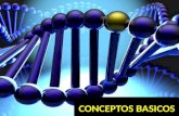 CONCEPTOS BASICOS. ADN Características de los genes Dominante Recesivo.