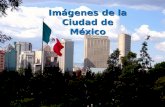 Imágenes de la Ciudad de México Zócalo El Angel de la Independencia. la Independencia.