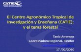 El Centro Agronómico Tropical de Investigación y Enseñana (CATIE): y el tema forestal Tania Ammour Coordinadora Regional, Finnfor tammour@catie.ac.cr 17.