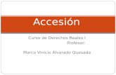 Curso de Derechos Reales I Profesor: Marco Vinicio Alvarado Quesada Accesión.