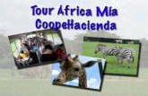 El 1er tour a Africa Mía, organizado por Coopehacienda R.L., ha sido una de las buenas experiencias, por cuanto se pudo observar el orden, cooperación.