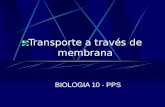 Transporte a través de membrana BIOLOGIA 10 - PPS.