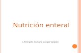 Nutrición enteral L.N Angela Dahiana Vargas Valadez.