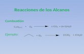 Reacciones de los Alcanos Combustión Ejemplo:. Desintegración e Hidrodesintegración.