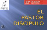 INTRODUCCIÓN:  ¿Soy pastor o discípulo?  Actualmente imperan iglesias independientes y autónomas con pastores también independientes y autónomos.