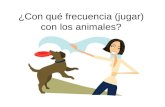 ¿Con qué frecuencia (jugar) con los animales?. ¿Con qué frecuencia (entender) la clase de español?